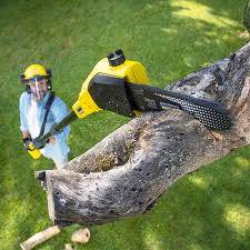 Lake Heritage, PA Tree Care Company